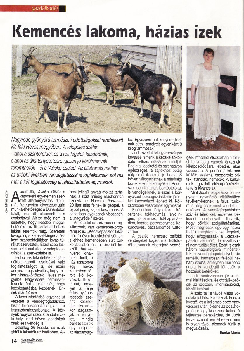 Kistermelők lapja: Kecskesajt, Nagyrédei Kecskefarm Média, Kecskesajt, Nagyrédei Kecskefarm