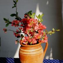 Húsvét a Kecskefarmon - 2009